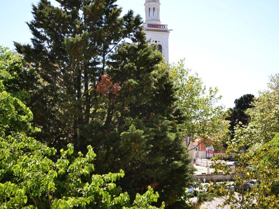 Location de Vacances Arcachon 873