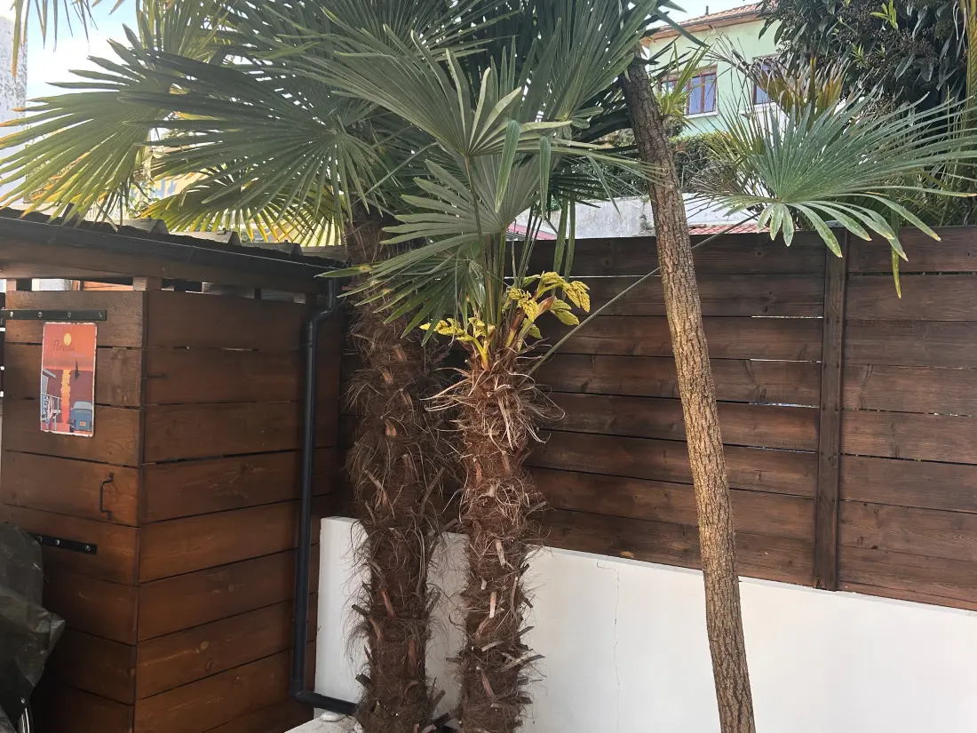 Location de Vacances Arcachon 906