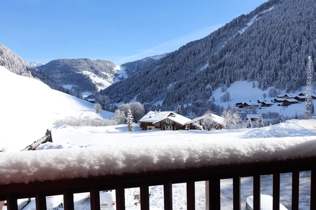 Chalet Du Planay