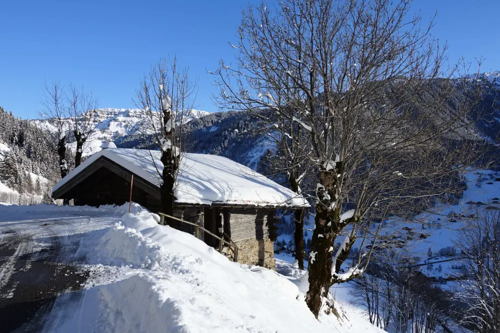 Chalet