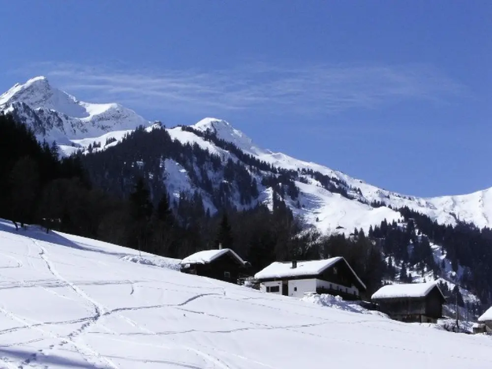 Résidence Gentiane
