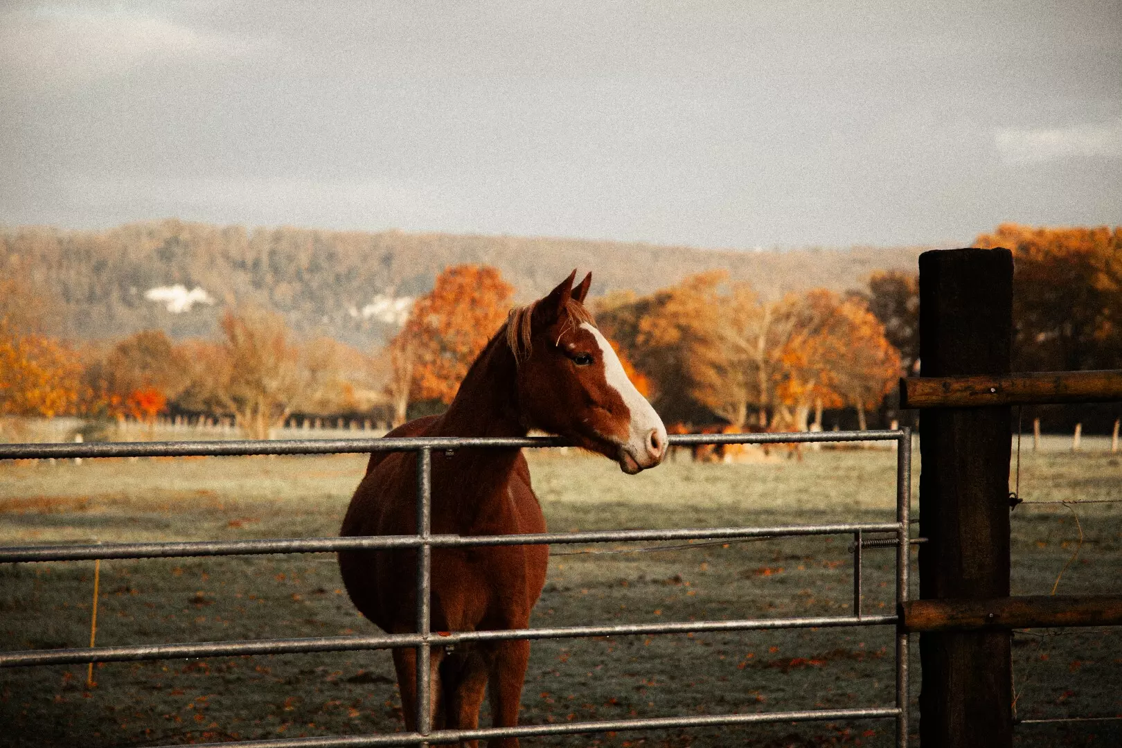 Tiny House : face au Parc Naturel des Boucles de la Seine - 3