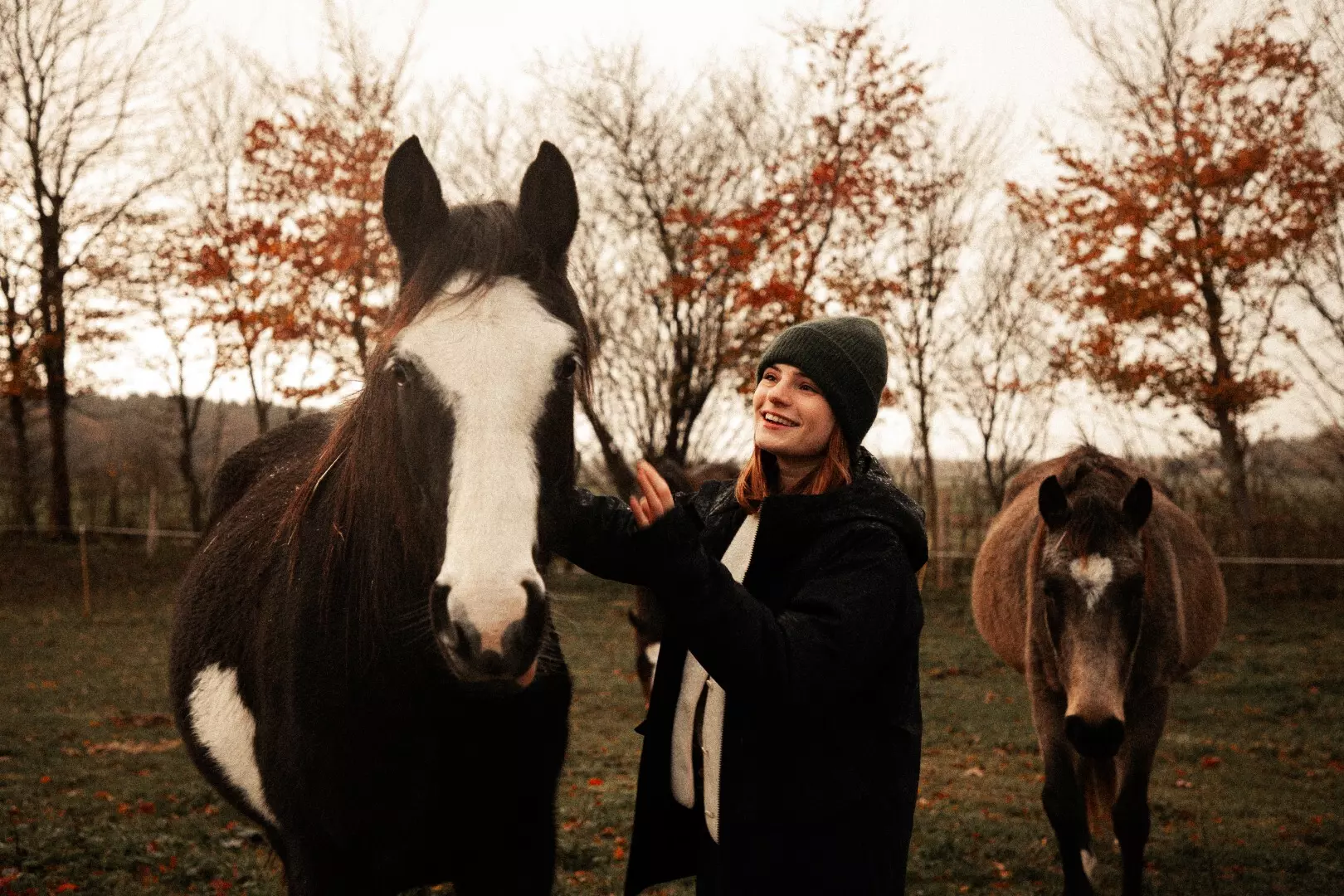 Tiny House : face au Parc Naturel des Boucles de la Seine - 2