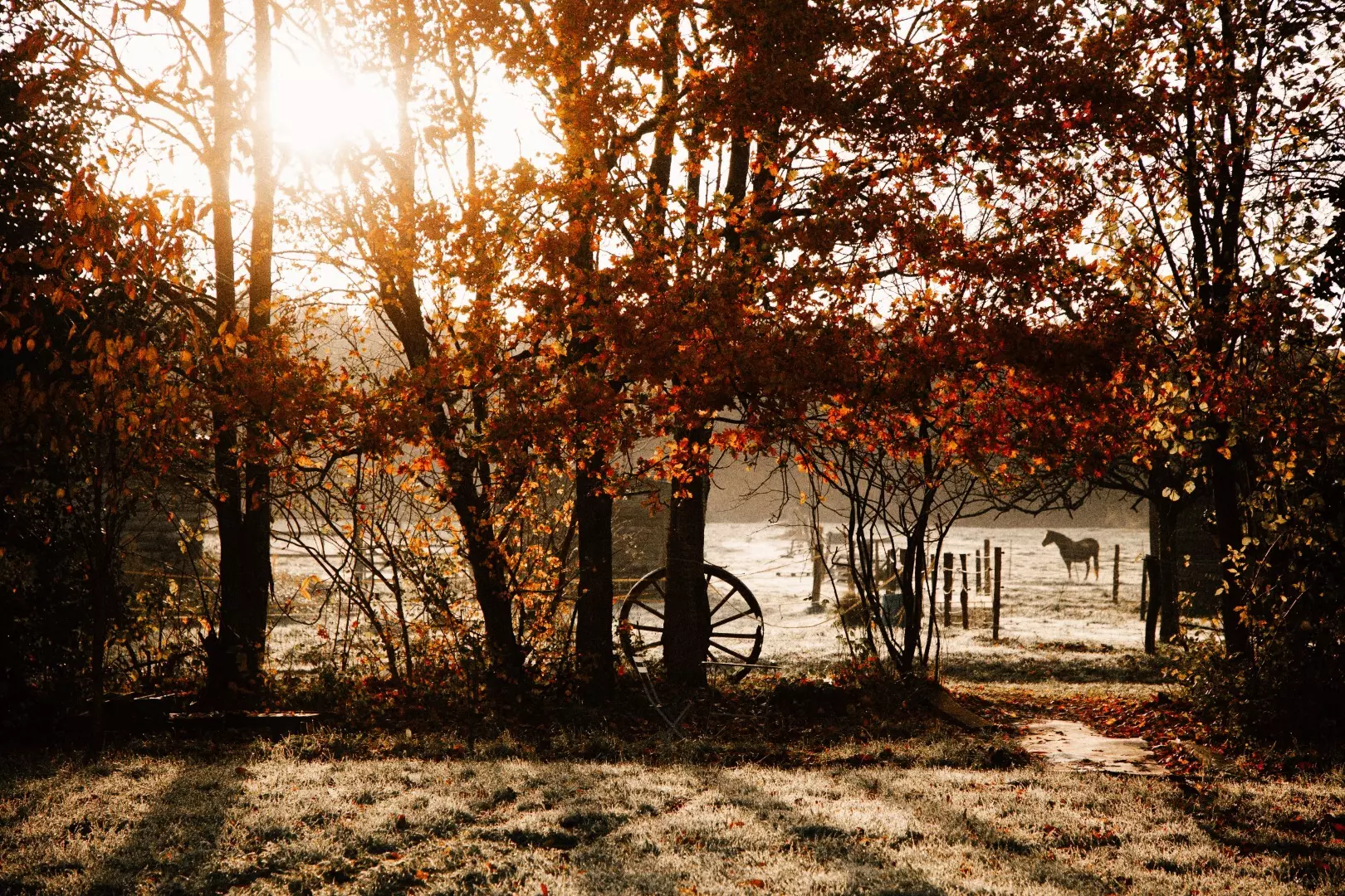 Tiny House : face au Parc Naturel des Boucles de la Seine - 4