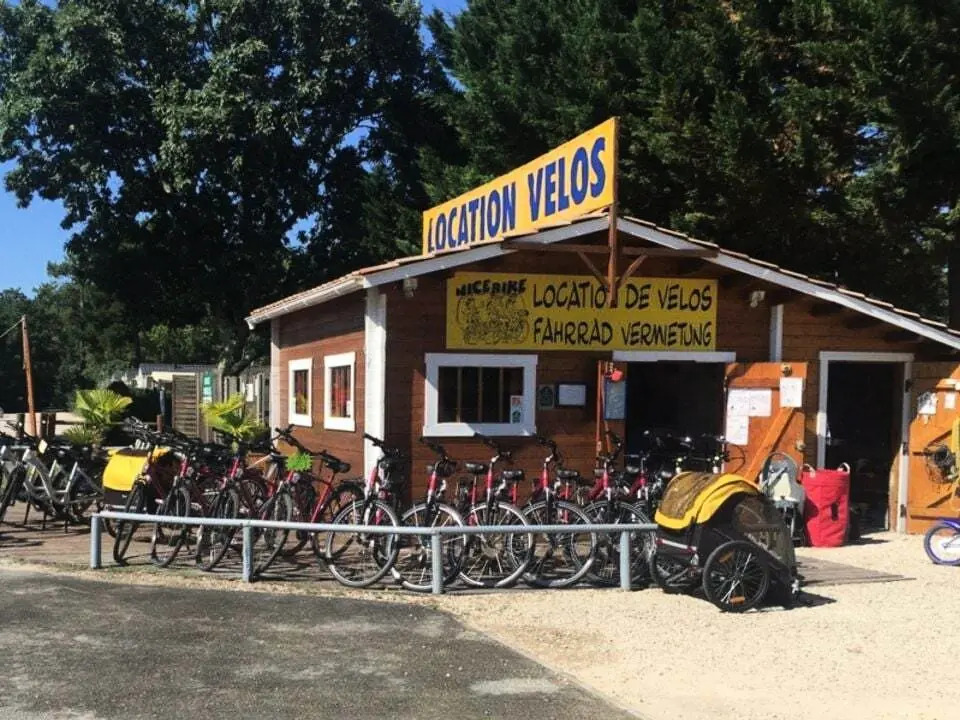 Camping Les Goélands 3 étoiles★★★