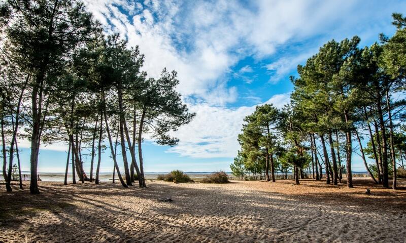 France - Atlantique Sud - Arès - Camping Les Goélands 3* - Maeva Sélection