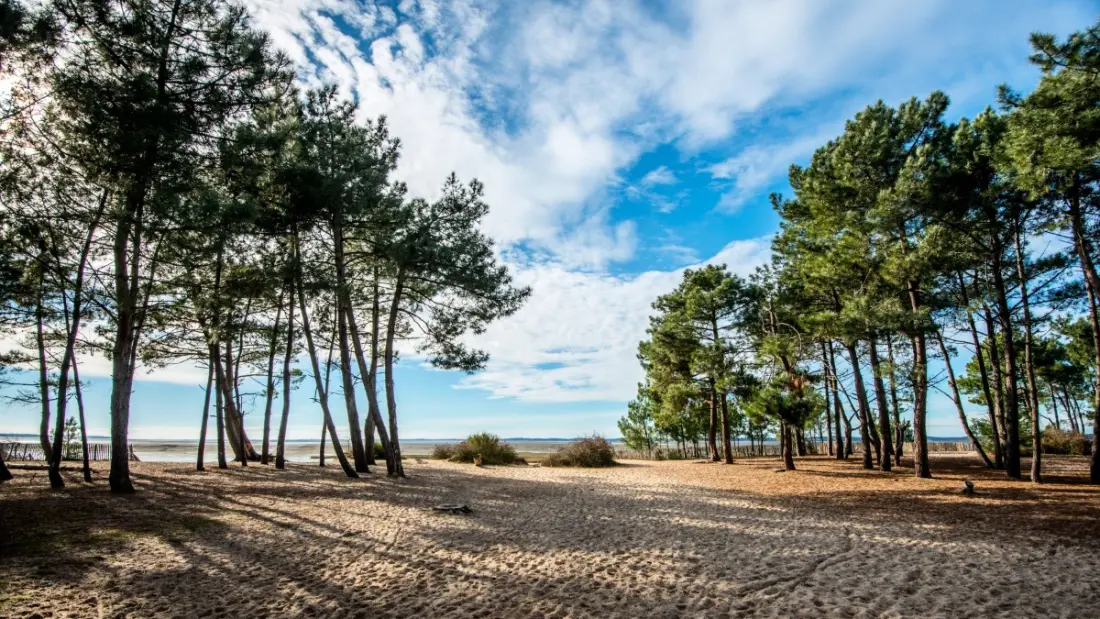 Camping Les Goélands 3 étoiles★★★