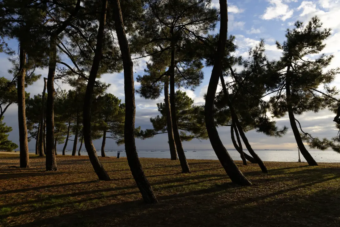 Maison à Arès - Bassin d'Arcachon