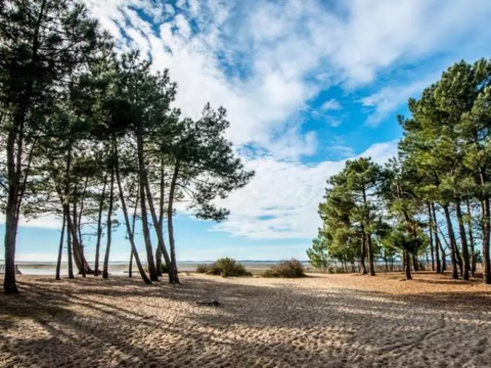 Camping Les Goélands 3 étoiles★★★