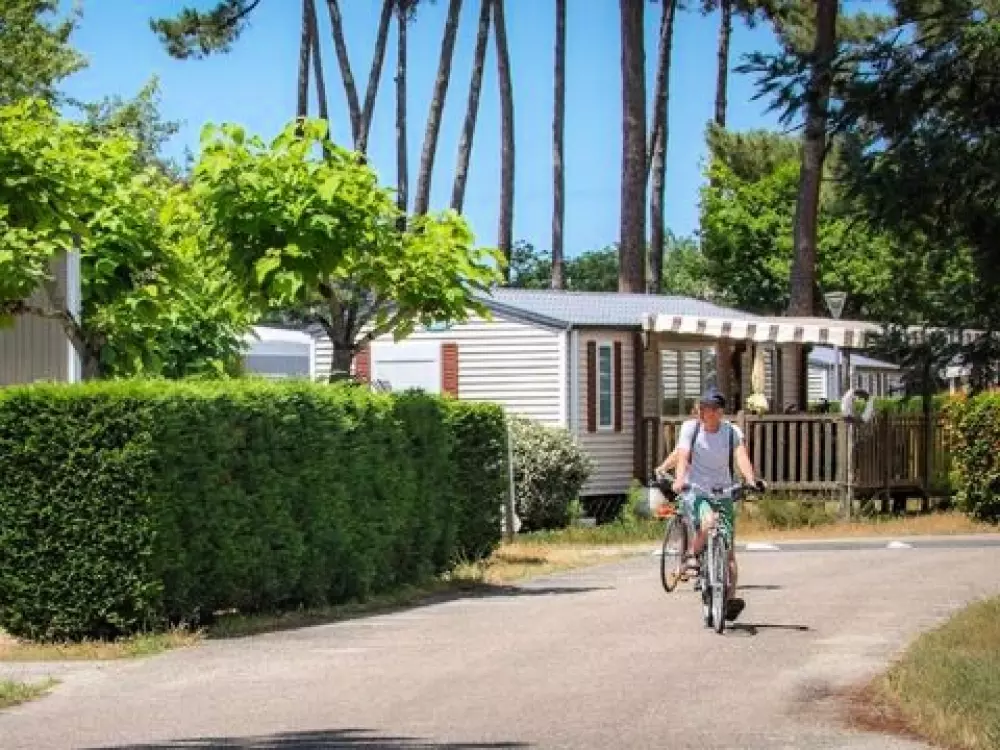 Camping Les Goélands 3 étoiles★★★