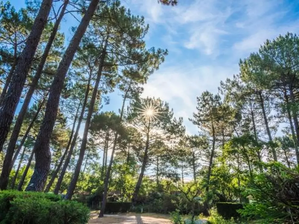 Camping Les Goélands 3 étoiles★★★