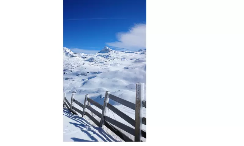 Gite les 3 Edelweiss*** à Arette avec piscine commune Maison 5 Pièces 12 personnes - Arette - SKI - Aquitaine - Arette visuel 29/33