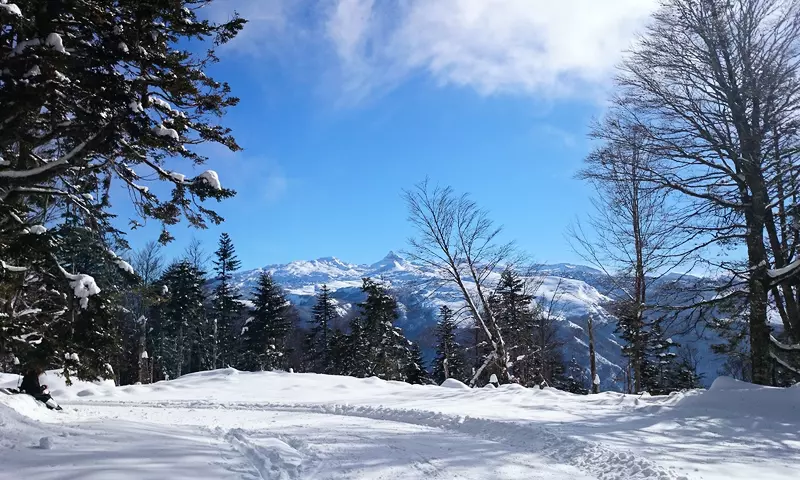 Gite les 3 Edelweiss*** à Arette avec piscine commune Maison 5 Pièces 12 personnes - Arette - SKI - Aquitaine - Arette visuel 32/33