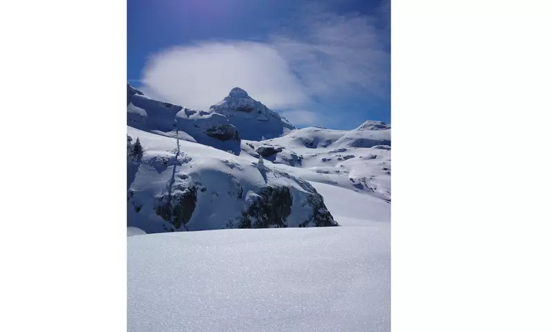 Gite les 3 Edelweiss*** à Arette avec piscine commune Maison 5 Pièces 12 personnes - Arette - SKI - Aquitaine - Arette visuel 30/33