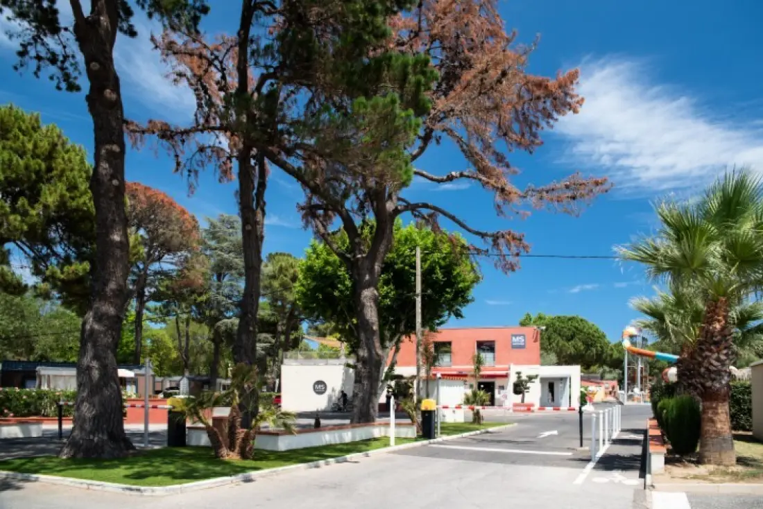 Camping Club Le Littoral 5 étoiles★★★★★ - MS Vacances