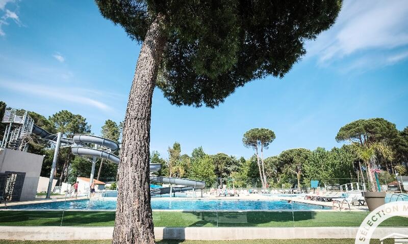 France - Méditerranée Ouest - Argelès sur Mer - Camping Club Taxo Les Pins 4* - Maeva Camping