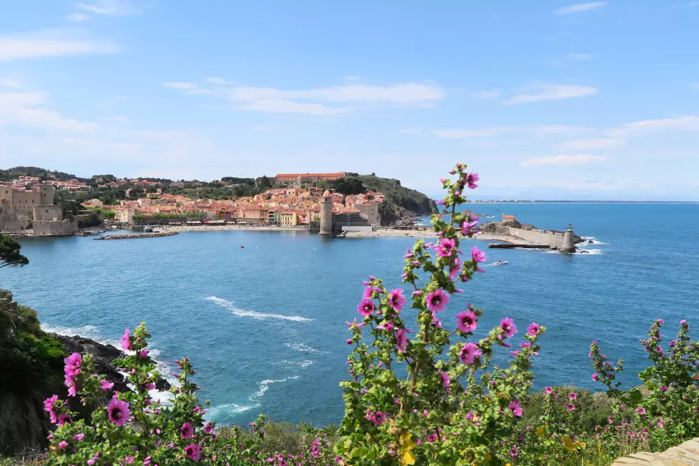 Camping Le Bois Fleuri 5 étoiles★★★★★