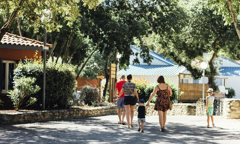 France - Méditerranée Ouest - Argelès sur Mer - Camping le Bois Fleuri 5*