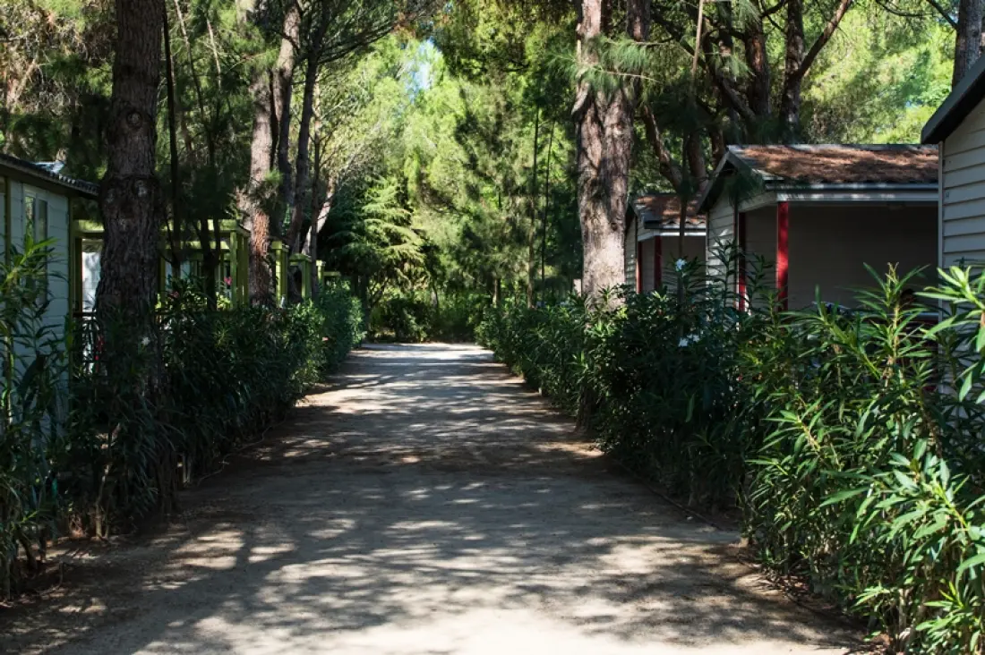Camping Le Domaine de la Pinède Enchantée3 étoiles★★★