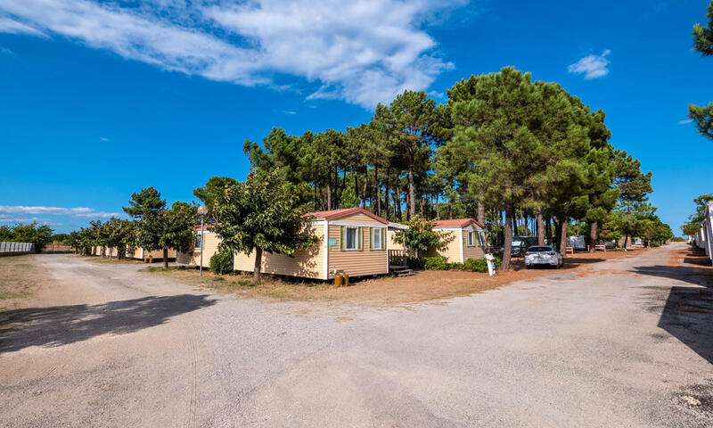 Camping Le Roussillonnais - Argelès-sur-Mer - 10