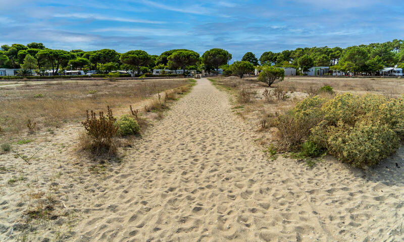 Camping Le Roussillonnais - Argelès-sur-Mer - 7