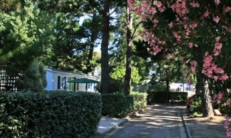 Chadotel Les Jardins Catalans **** - Argelès-sur-Mer - 3