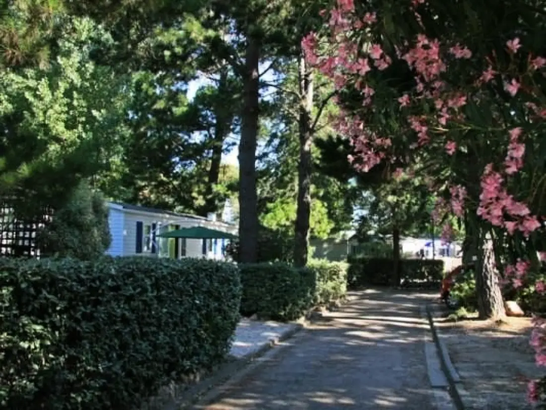 Chadotel Les Jardins Catalans 4 étoiles★★★★