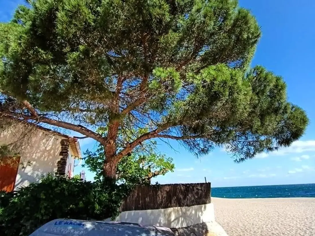 Location de Vacances Argelès-sur-Mer 429