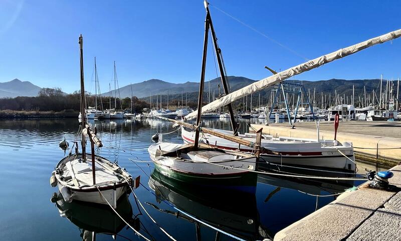 Résidence Mer Et Golf - - Argelès-sur-Mer - 23