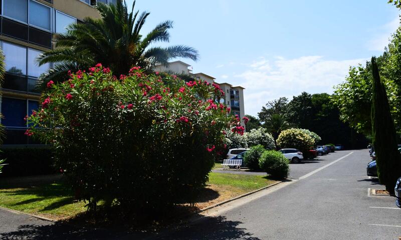 Résidence Petit Bois - Argelès-sur-Mer - 18