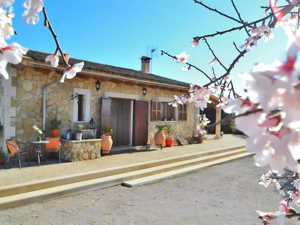 Maison de Vacances Ariany 12