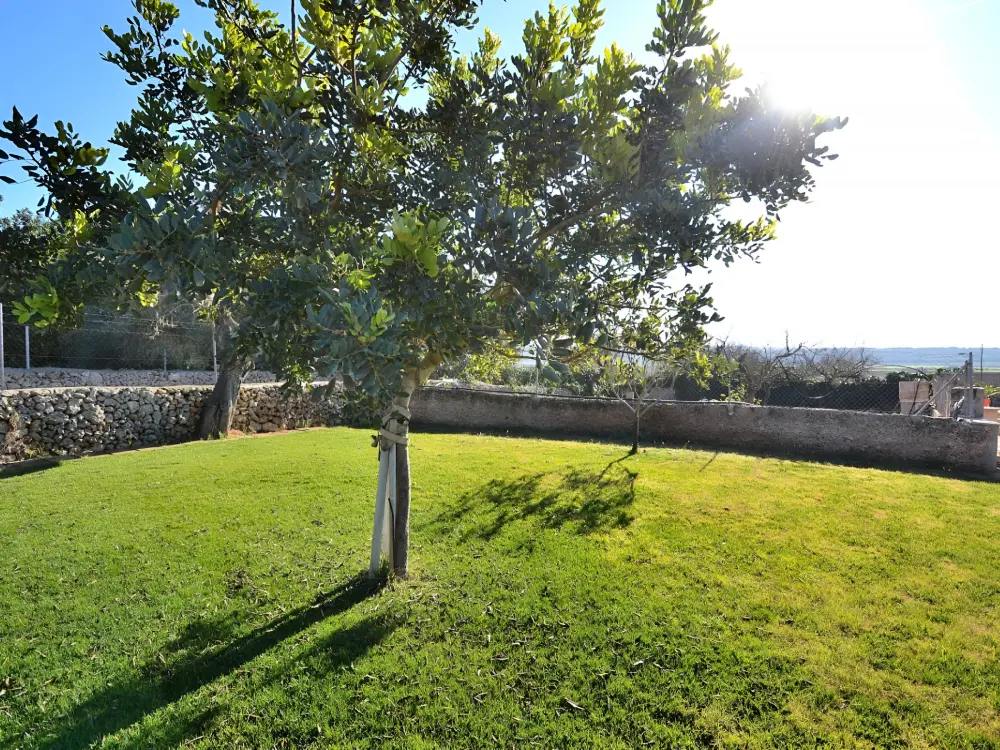 Maison de Vacances Ariany 12