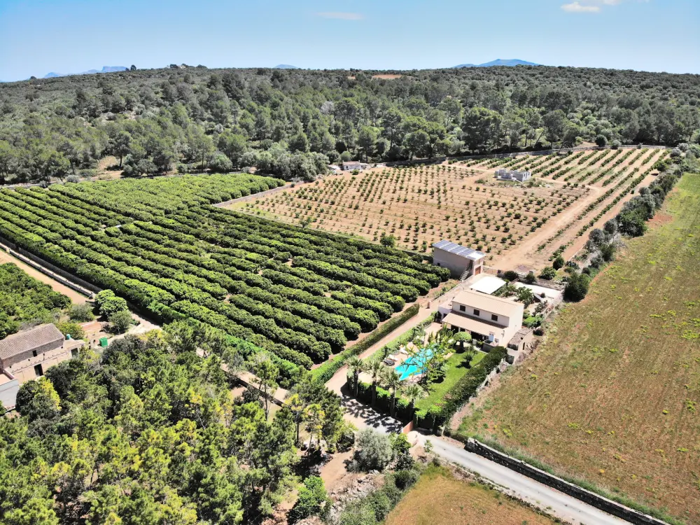 Maison de Vacances Ariany 16