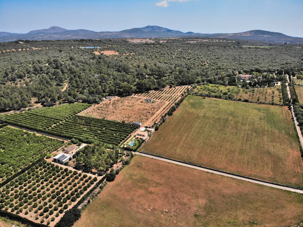 Maison de Vacances Ariany 16