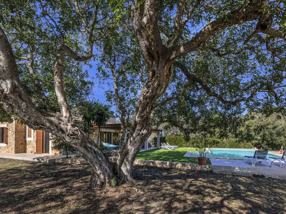 Maison de Vacances Ariany 18