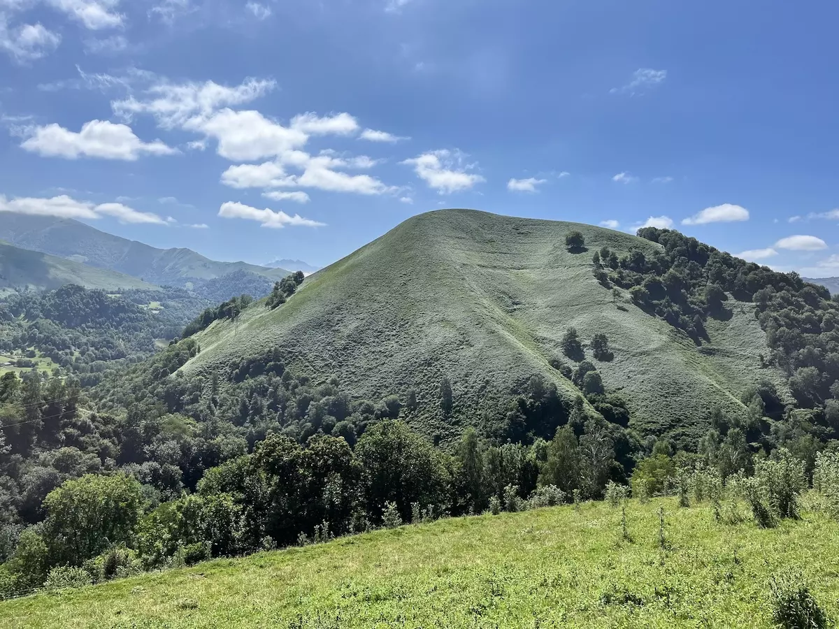 Tiny House : face à la chaîne des Pyrénées - 3
