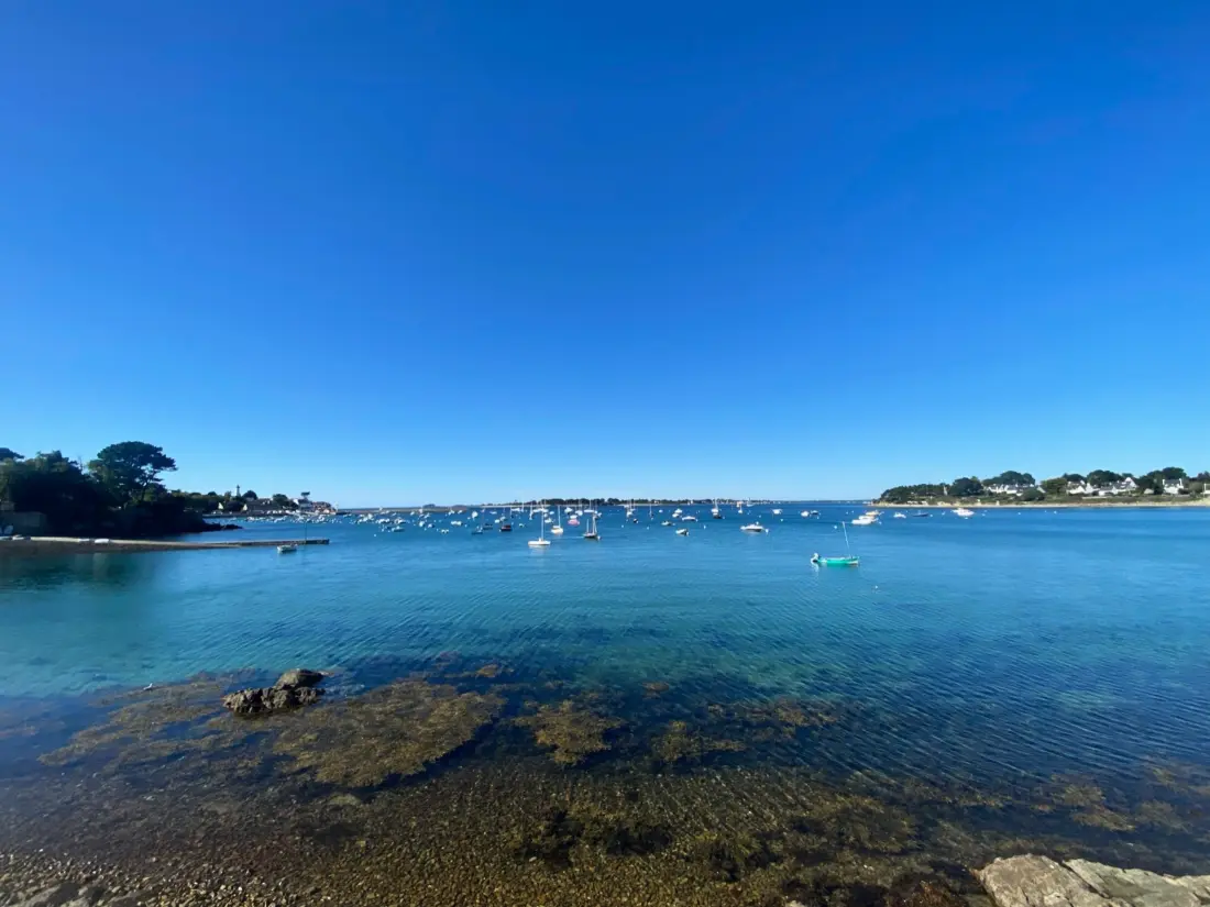 Location de Vacances Arzon 109