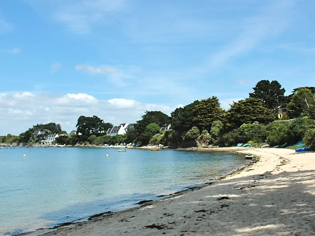 Location de Vacances Arzon 162