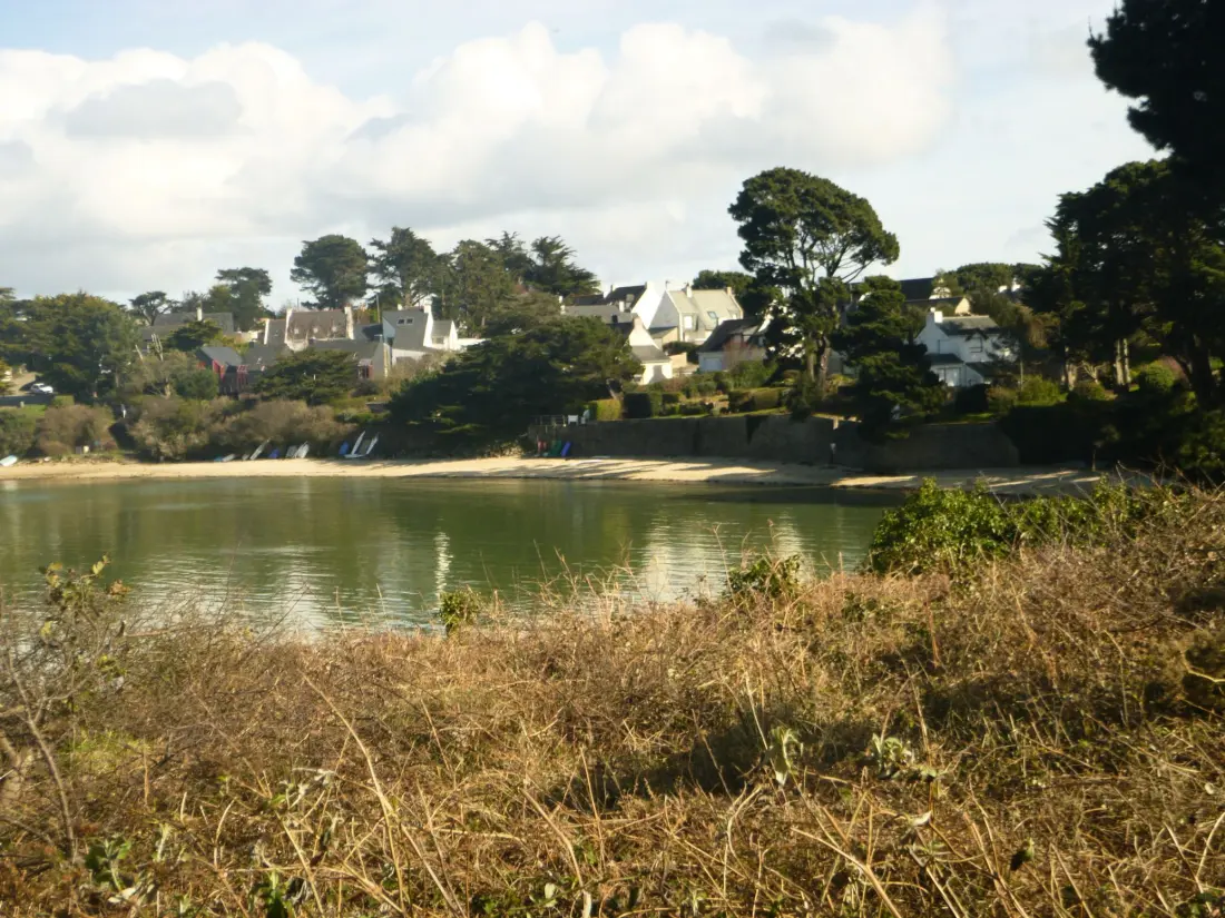 Location de Vacances Arzon 162