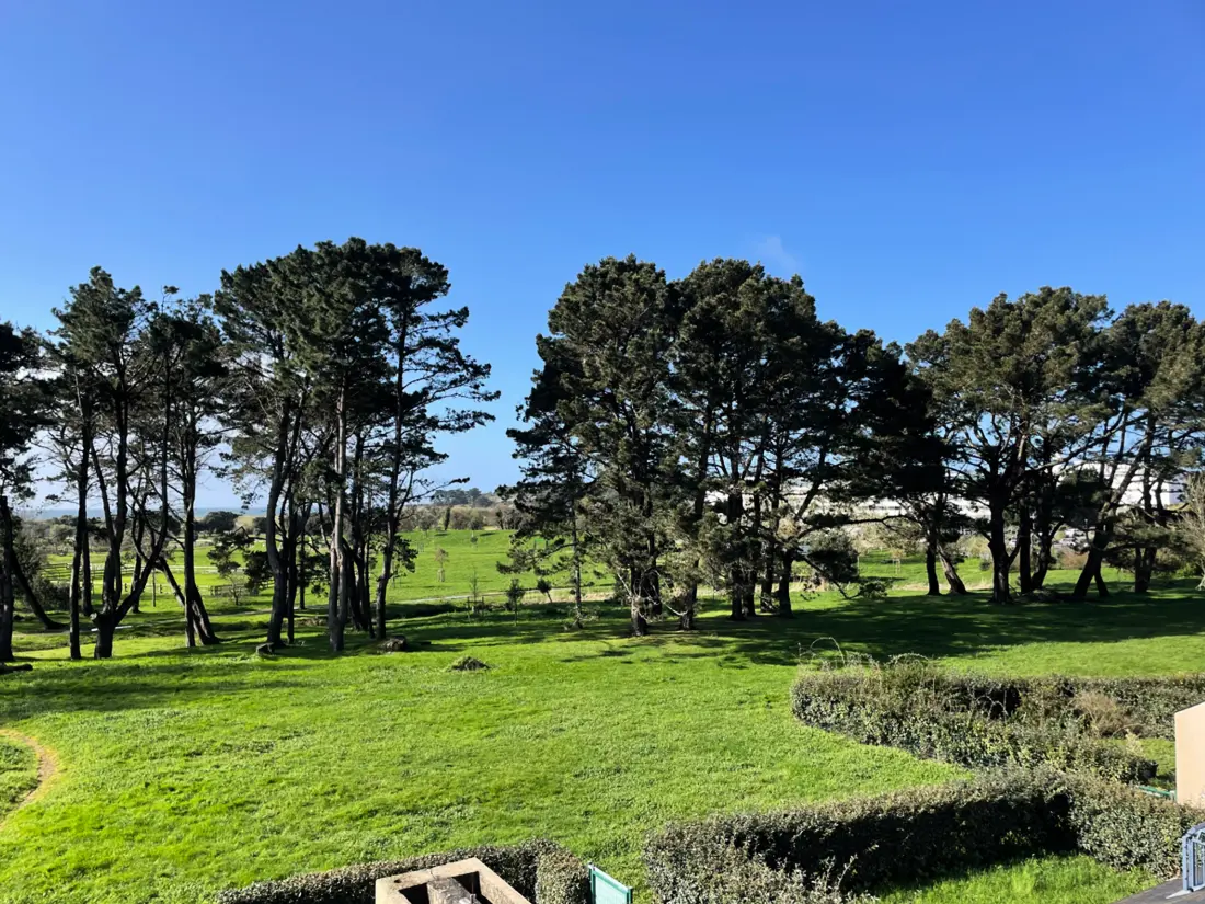 Location de Vacances Arzon 164
