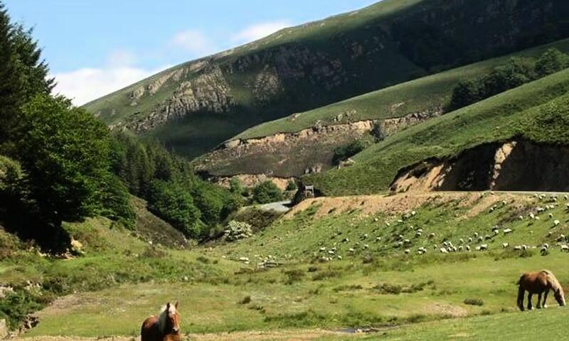 France - Pyrénées - Saint Jean Pied de Port - Camping Europ'Camping 4*