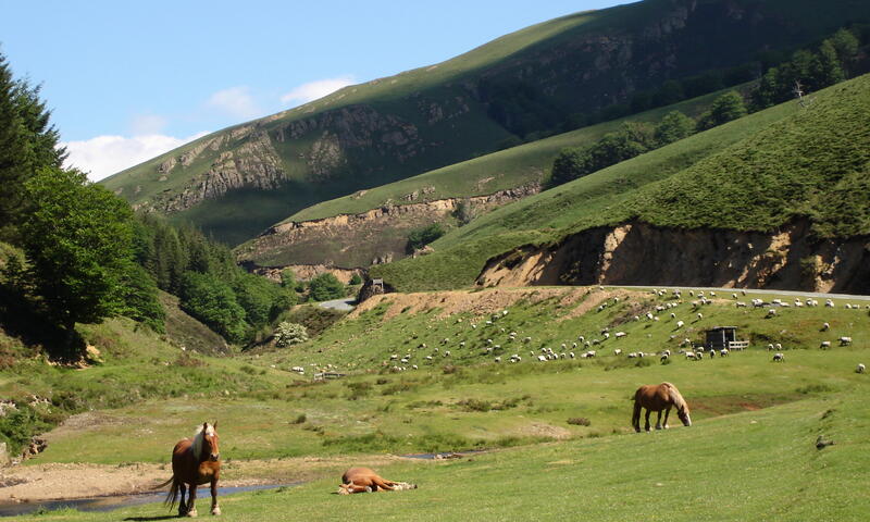 France - Pyrénées - Ascarat - Europ' Camping 4*