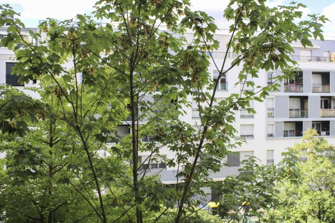 Appartement 1 Chambre Avec Jardin