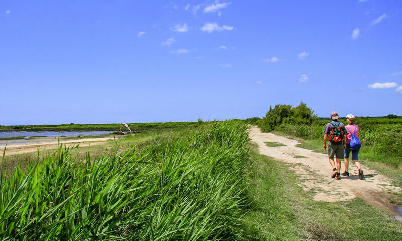 France - Atlantique Sud - Audenge - Camping Le Braou 3* - Maeva Sélection