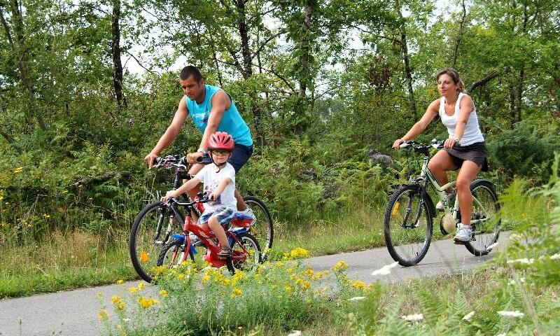 Camping LANDES BLEUES **** - Aureilhan - 28