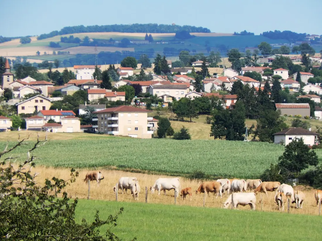 Maison de Vacances AVEIZIEUX 2