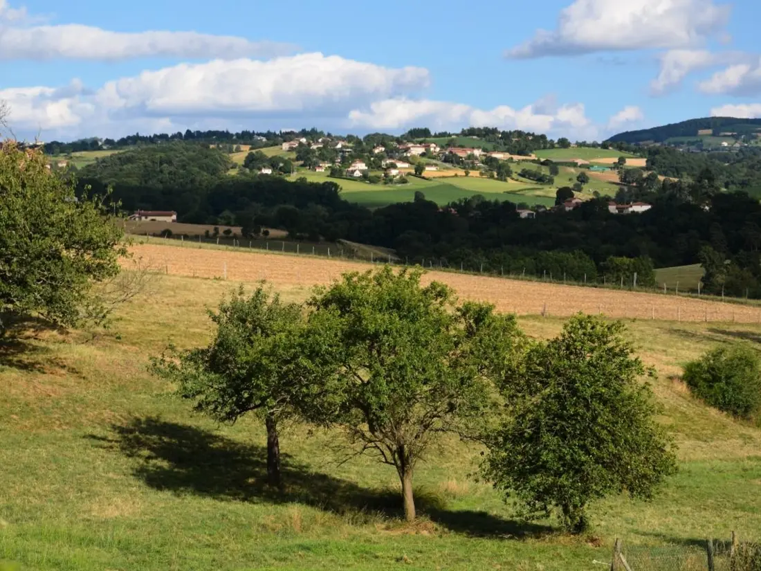 Maison de Vacances AVEIZIEUX 2