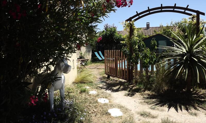 Maison Climatisée Avec Piscine Privée - - Avignon - 18