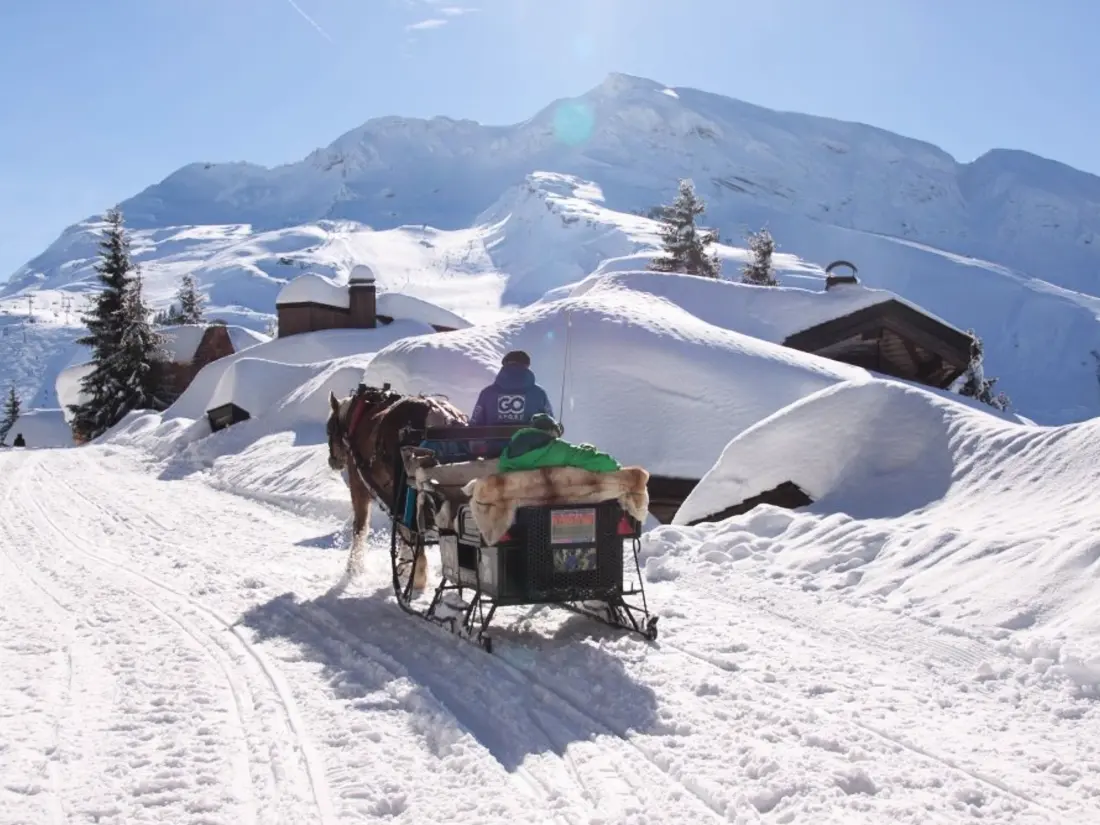 Location de Vacances Avoriaz 11