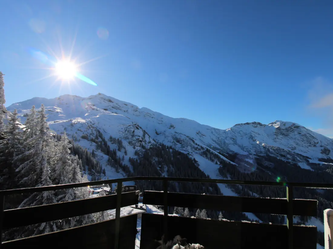 Location de Vacances Avoriaz 142